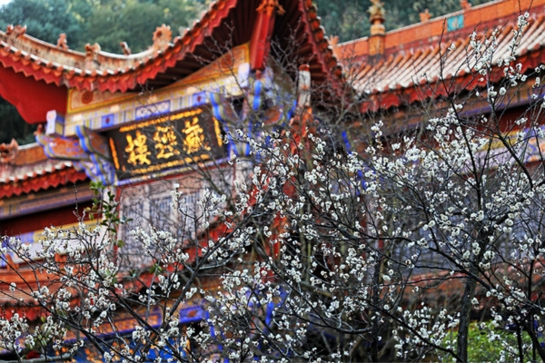 Du Lịch Côn Minh - Đại Lý - Lệ Giang - Shangrila 8 Ngày 7 Đêm