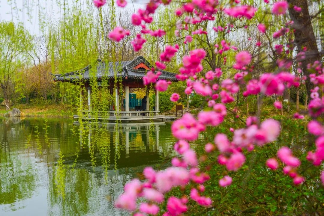 Khám Phá Du Lịch Trung Quốc Mùa Xuân: Những Điểm Đến Không Thể Bỏ Qua