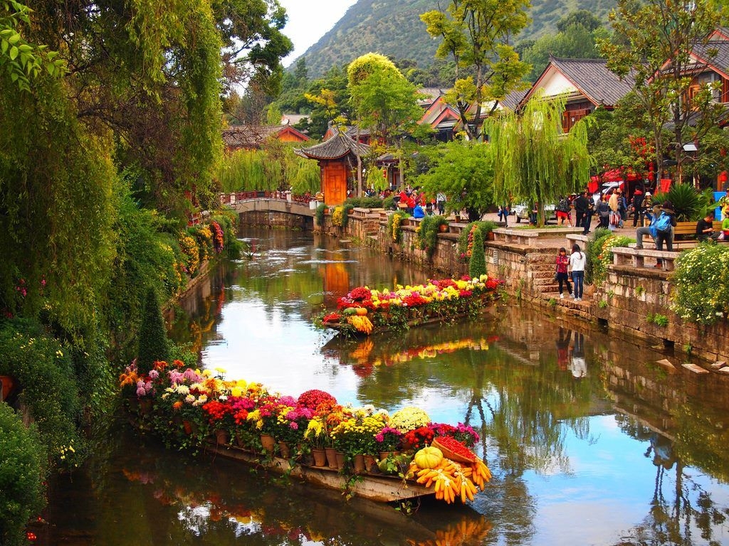 Top 10 loài hoa làm nên vẻ đẹp thơ mộng tại Trung Quốc?